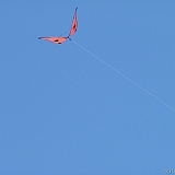 Penvins-festival -2006 -0278